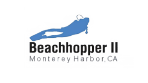 Beachhopper II