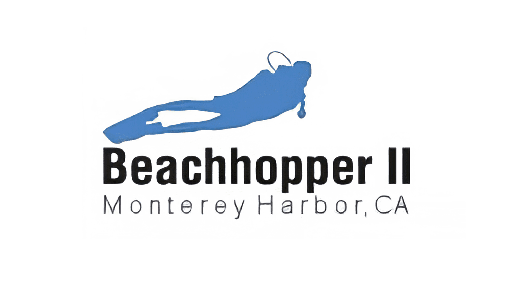 Beachhopper II