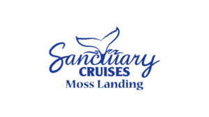 Sanctuary Cruises