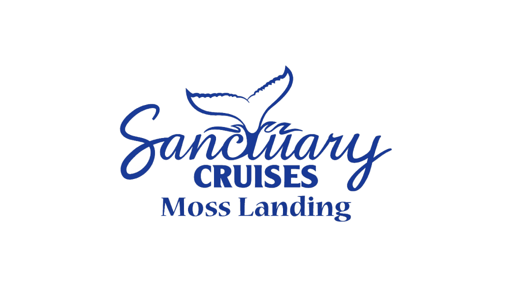 Sanctuary Cruises